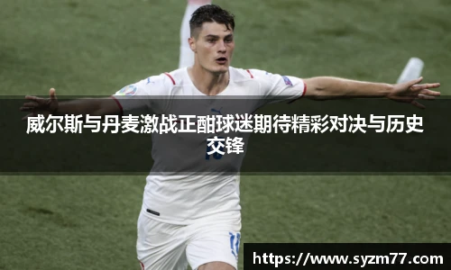 威尔斯与丹麦激战正酣球迷期待精彩对决与历史交锋