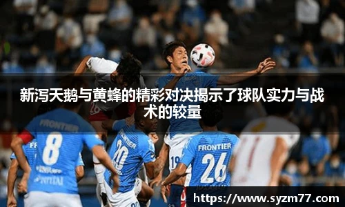 新泻天鹅与黄蜂的精彩对决揭示了球队实力与战术的较量